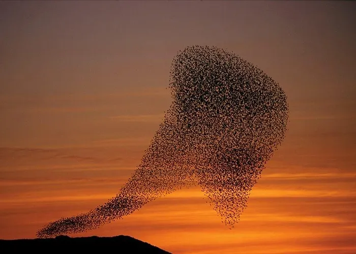 Ballum Slusekro Gasthof *